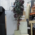 72" Artificial Silk Tree Floor Plant with Beige Plastic Pot